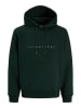 Jack & Jones Hoodie in Grün