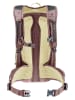 Deuter Plecak turystyczny "Compact 12+3" w kolorze beżowym - 24 x 44 x 17 cm