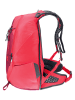 Deuter Plecak narciarski "Updays 24" w kolorze różowym - 29 x 47 x 21 cm