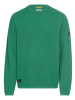 Camel Active Pullover in Grün