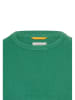 Camel Active Pullover in Grün