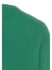 Camel Active Pullover in Grün