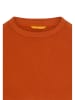 Camel Active Pullover in Rostrot