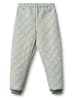 Wheat Thermohose "Alex" in Grün