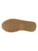 U.S. Polo Assn. Sneakers in Creme