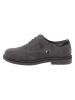 U.S. Polo Assn. Schnürschuhe in Grau