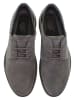 U.S. Polo Assn. Schnürschuhe in Grau