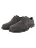 U.S. Polo Assn. Schnürschuhe in Grau