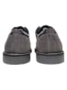 U.S. Polo Assn. Schnürschuhe in Grau