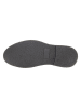 U.S. Polo Assn. Schnürschuhe in Grau