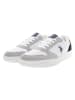 U.S. Polo Assn. Sneakers in Grau/ Weiß/ Dunkelblau