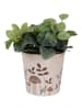 Clayre & Eef Bloempot beige - (H)16 x Ø 17 cm