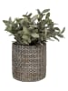 Clayre & Eef Bloempot bruin - (H)12 x Ø 11 cm