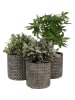 Clayre & Eef Bloempot bruin - (H)12 x Ø 11 cm
