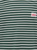 ONLY & SONS Junior Longsleeve "Dawson" in Weiß/ Grün