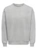 ONLY & SONS Sweatshirt "Dane" lichtgrijs