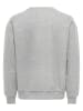 ONLY & SONS Sweatshirt "Dane" lichtgrijs