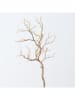 Boltze Dekozweig "Treibholz" in Beige - (H)93 cm