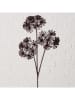 Boltze Gałązka dekoracyjna "Hogweed" w kolorze czarnym - wys. 86 cm