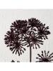 Boltze Gałązka dekoracyjna "Hogweed" w kolorze czarnym - wys. 86 cm