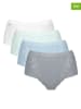 Sloggi 4er-Set: Pantys ''Chic'' in Hellblau/ Grau/ Weiß