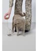 Hoopo Kattenspeelgoed "Tail" in Ohne Farbe/beige