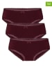Hunkemöller 3er-Set: Slip "Georgia" in Bordeaux