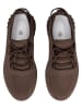 C'M Sneakers in Lila/ Braun