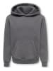 ONLY & SONS Junior Hoodie "Larry" in Grau