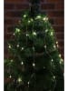 Hollybell LED-Lichterkette in Warmweiß - (L)200 cm