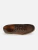 Wrangler Sneakers "Oran" in Braun