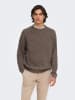 ONLY & SONS Trui "Join" bruin