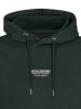 Petrol Industries Hoodie in Grün
