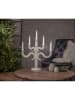 STAR Trading Fensterleuchter "Canna" in Beige - (B)43 x (H)55 cm