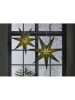 STAR Trading Papierstern "Holly" in Grün - Ø 75 cm