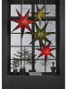 STAR Trading Gwiazda papierowa "Holly" w kolorze zielonym - Ø 60 cm
