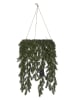 STAR Trading Led-krans "Erna" groen - (B)50 x (H)70 cm