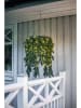 STAR Trading Led-krans "Erna" groen - (B)50 x (H)70 cm