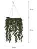 STAR Trading Led-krans "Erna" groen - (B)50 x (H)70 cm