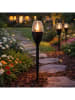 Joybos 6er-Set: LED-Solar-Gartenstecker in Schwarz - (L)37 cm