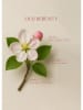 BELLA MAISON Spray do pomieszczeń "Oud Serenity" - 500 ml