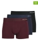 Jack & Jones 3er-Set: Boxershorts in Bordeaux/ Dunkelblau/ Schwarz