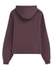 Polo Club Bluza w kolorze fioletowym
