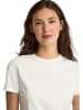 Polo Club Shirt crème