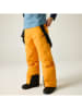 Dare 2b Ski-/ Snowboardhose "Pow III" in Gelb