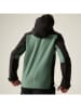 Regatta Softshelljacke "Hewitts" in Grün
