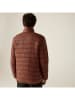 Regatta Steppjacke "Marizion" in Hellbraun
