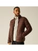 Regatta Steppjacke "Marizion" in Braun