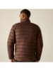 Regatta Steppjacke "Marizion" in Braun