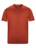 Regatta Funktionsshirt "Fingal Edition" in Orange